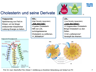 Cholesterin_und_seine_Derivate_1