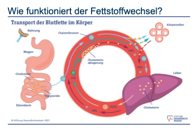 Wie_funktioniert_Stoffwechsel_1