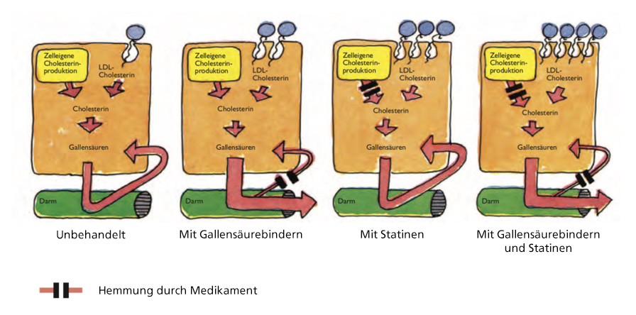 wirkung_verschiedener_medikamente_auf_die cholesterinproduktion_1